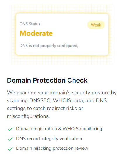 Domain Protection Check| BRS| C9Lab
